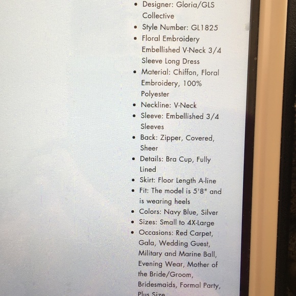 New!!! 3/4 length beaded bodice chiffon dress by Elizabeth K - Picture 7 of 7